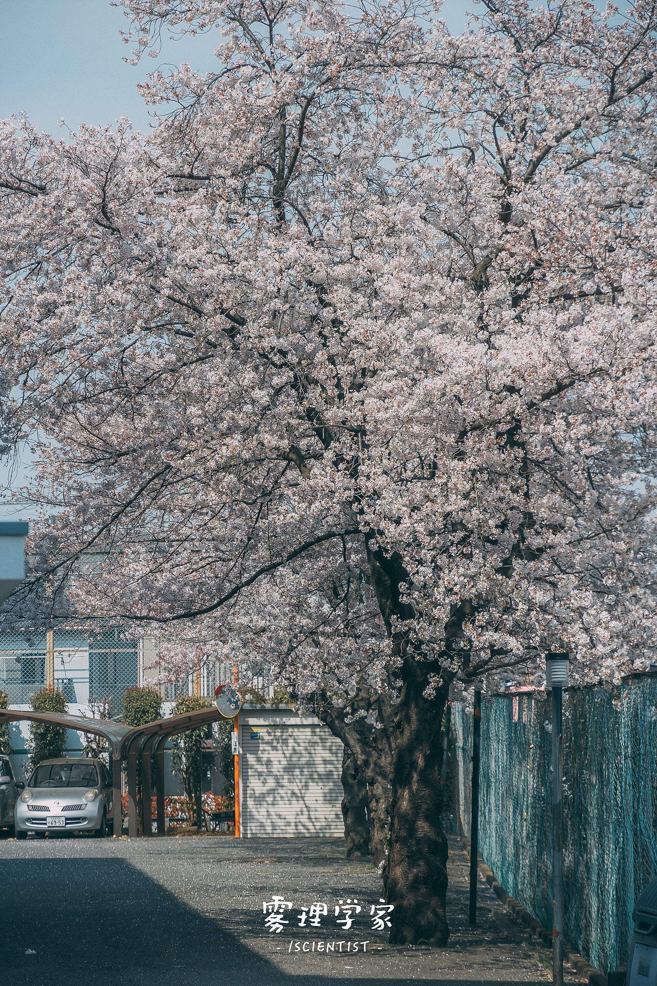 涉谷八公 | Photo | 雾里学家scientis | 3