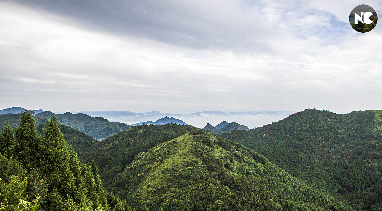 涪陵武陵山顶云海风光