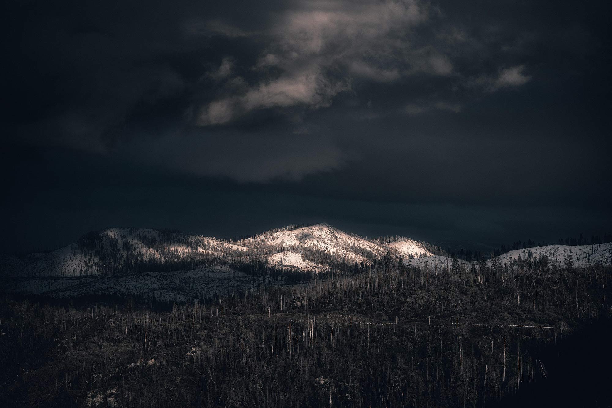 保利的个人主页（背景预览） - 主页背景设置 - 站酷设计师保利原创素材 - 站酷ZCOOL