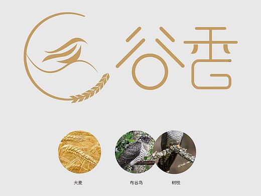 品牌VI设计 红豆薏米茶 养生茶1