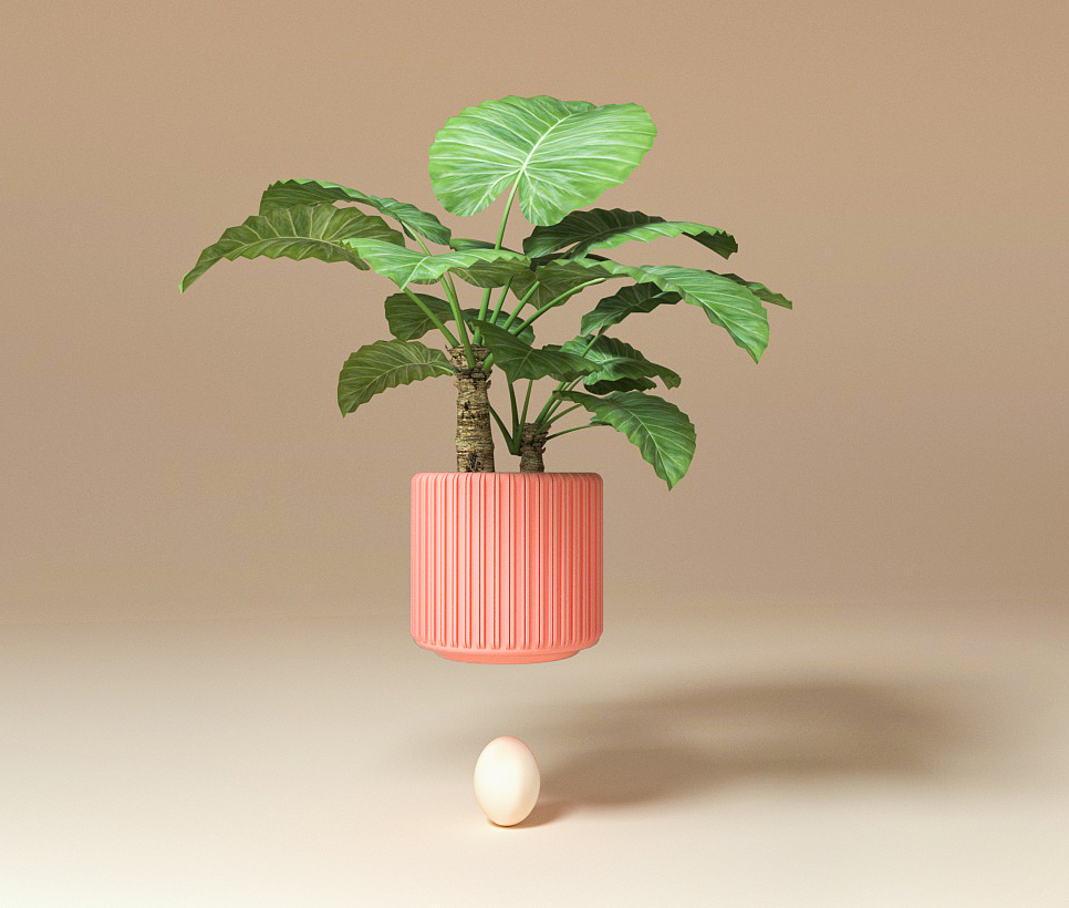 植物练习（图ZMTQ5OTc2MjI4） - 人物/生物 - 站酷设计师老pp原创素材 - 站酷ZCOOL