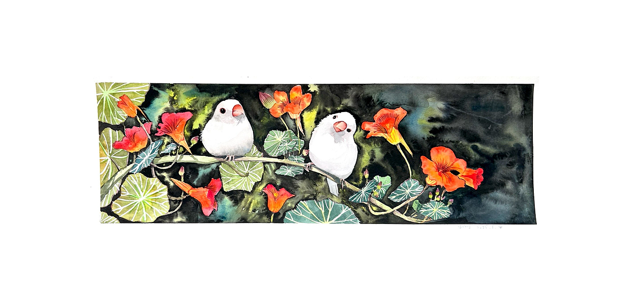 水彩 花鸟卷（就是有花有鸟）（图ZMzg2MzQwNzU2） - 绘画 - 站酷设计师阿哈大原创素材 - 站酷ZCOOL