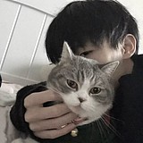 小豪没思路的头像
