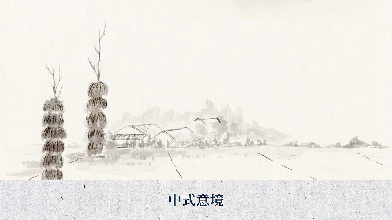 中药面膜包装设计