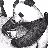 NOVA不是诺瓦的头像