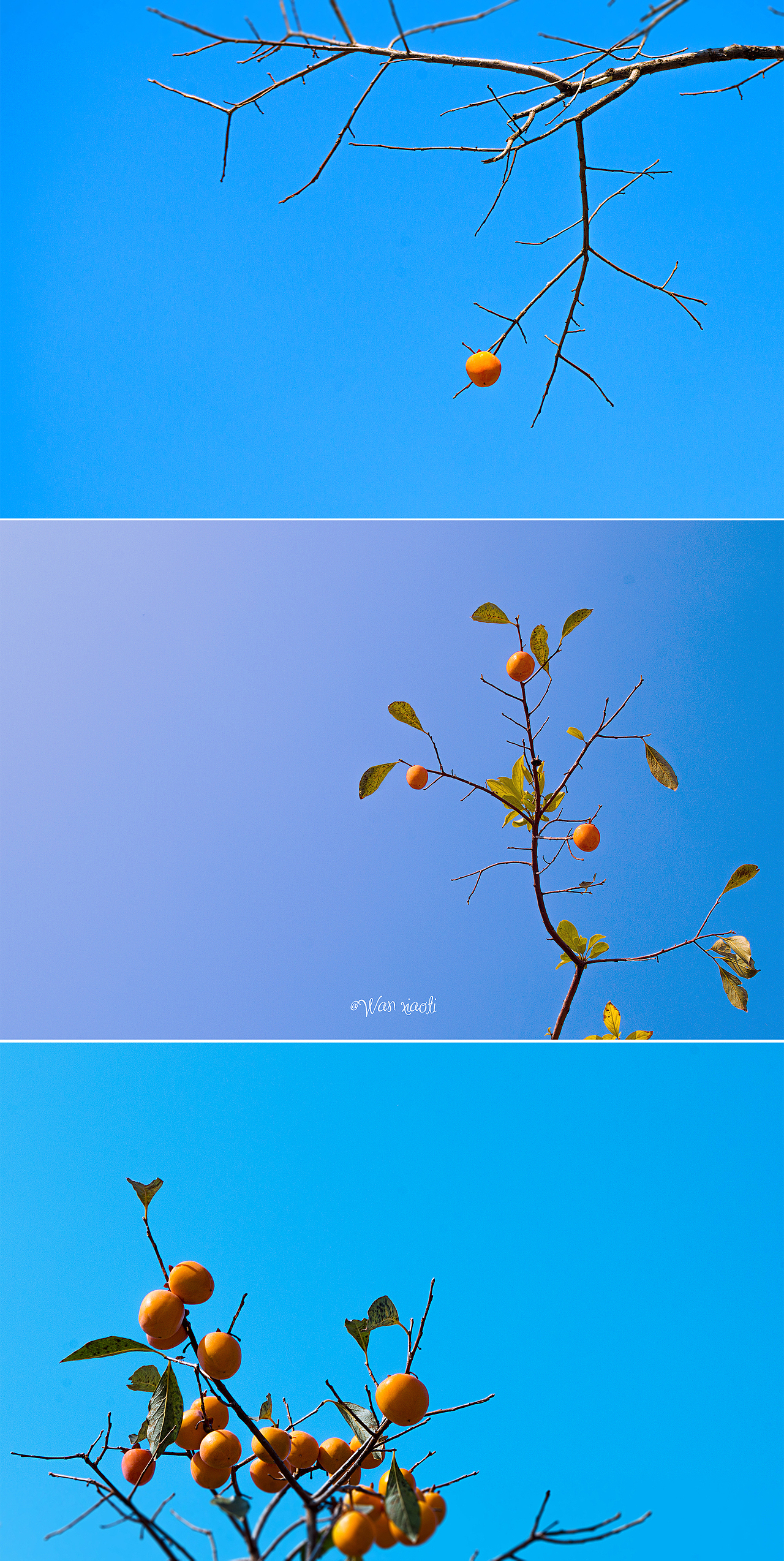 天与秋光（图ZMTUzNTk5NzA0） - 风光摄影 - 站酷设计师万晓缇原创素材 - 站酷ZCOOL