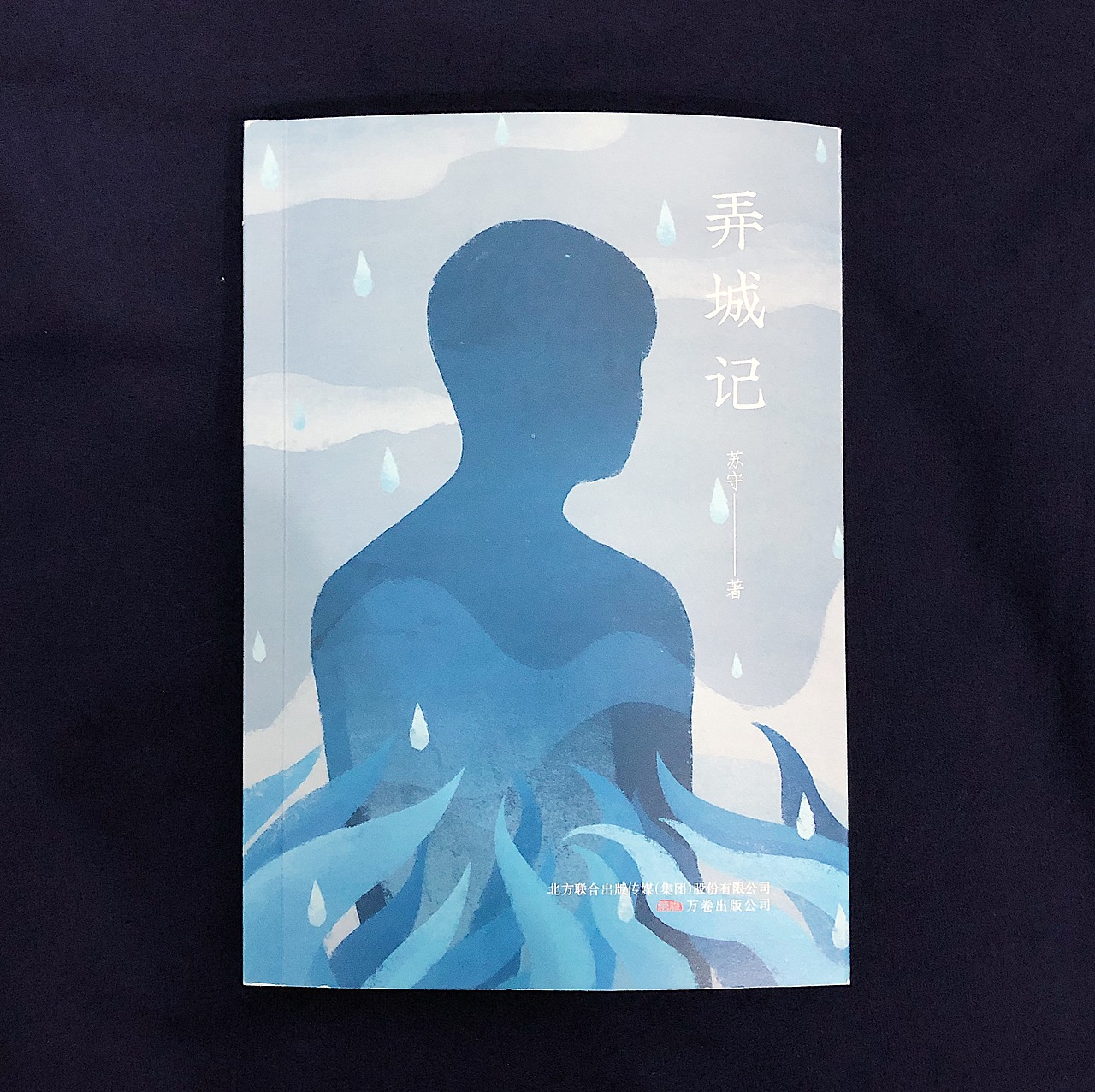 《弄城记》装帧设计（图ZMTkyMjIwNjg0） - 书籍/画册 - 站酷设计师沉清Evechan原创素材 - 站酷ZCOOL