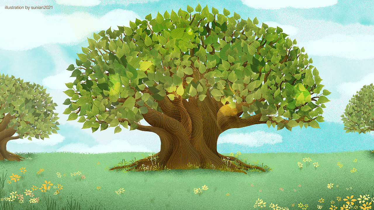 了不起的大树春蕾计划宣传动画插画项目