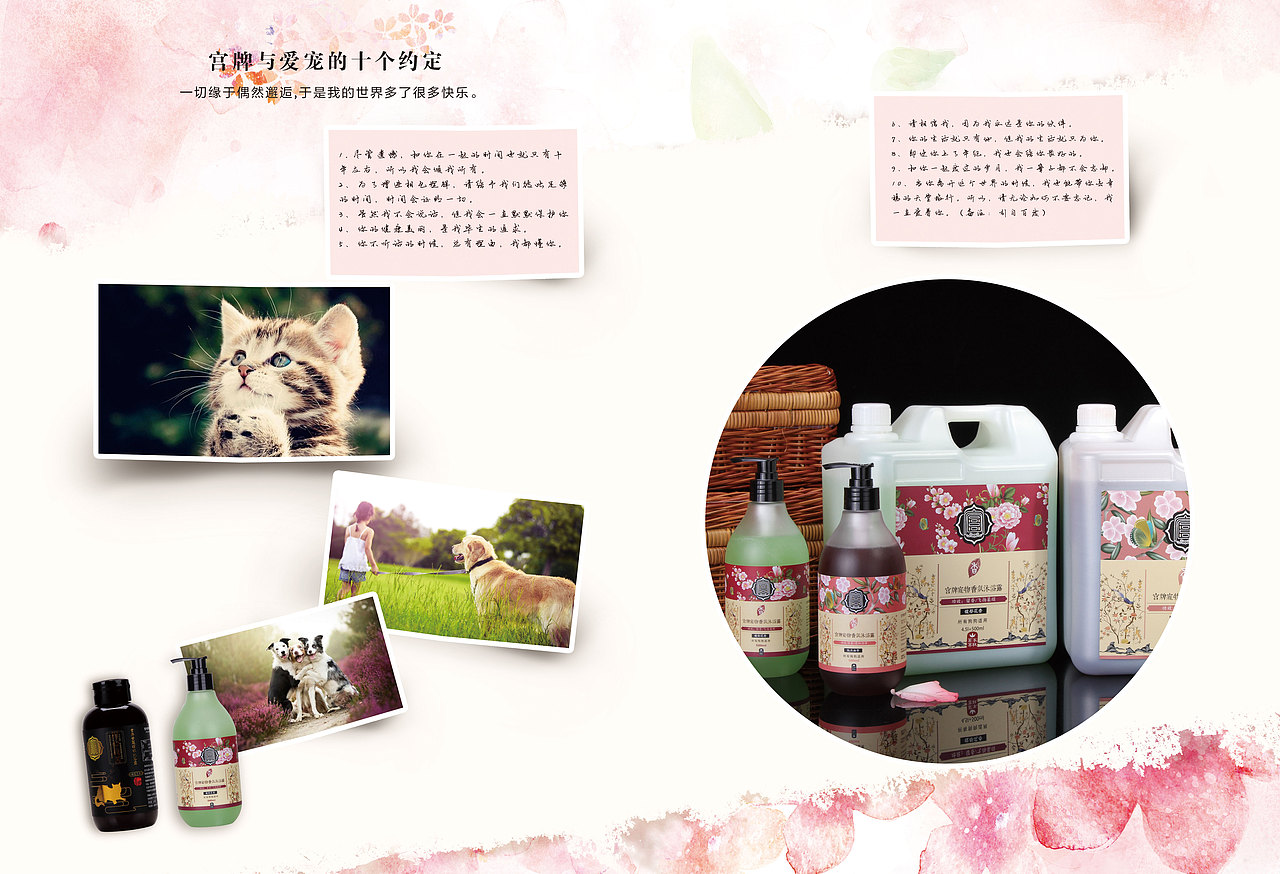 宠物用品沐浴露设计