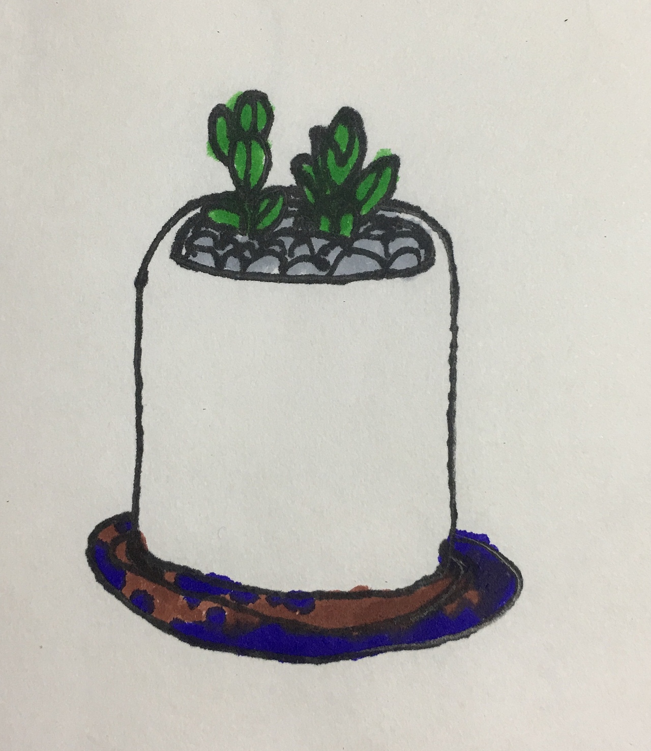 小君的多肉世界