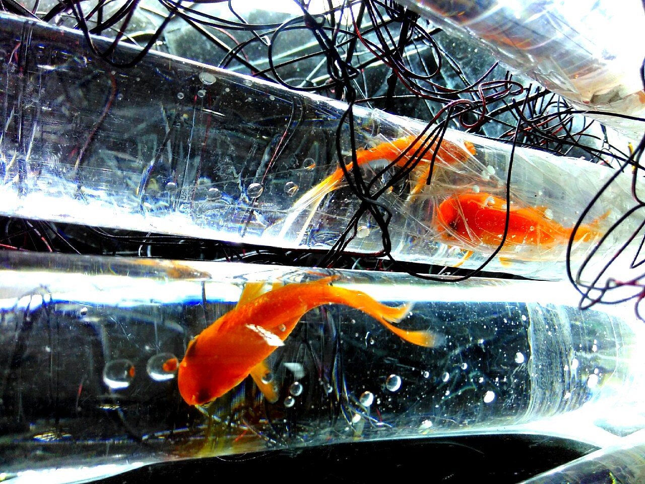 《空间·自由》