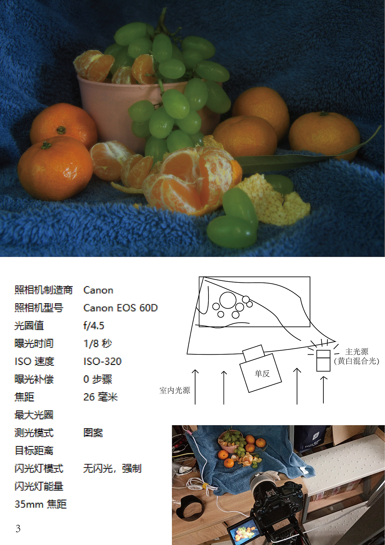 【摄影】仿油画水果摄影（图ZMjUxNDYxNzI4） - 其他摄影 - 站酷设计师KDiane原创素材 - 站酷ZCOOL