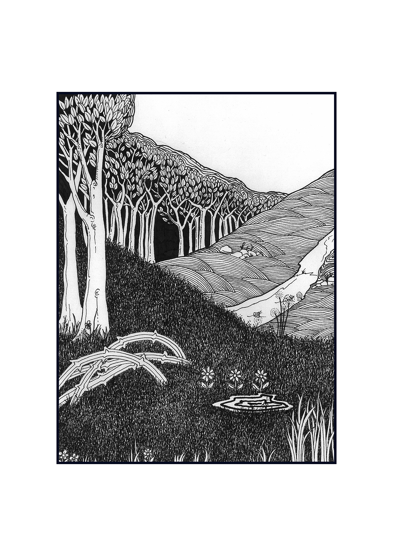 凄美地|插画|插画习作|木东东 - 原创作品 - 站酷