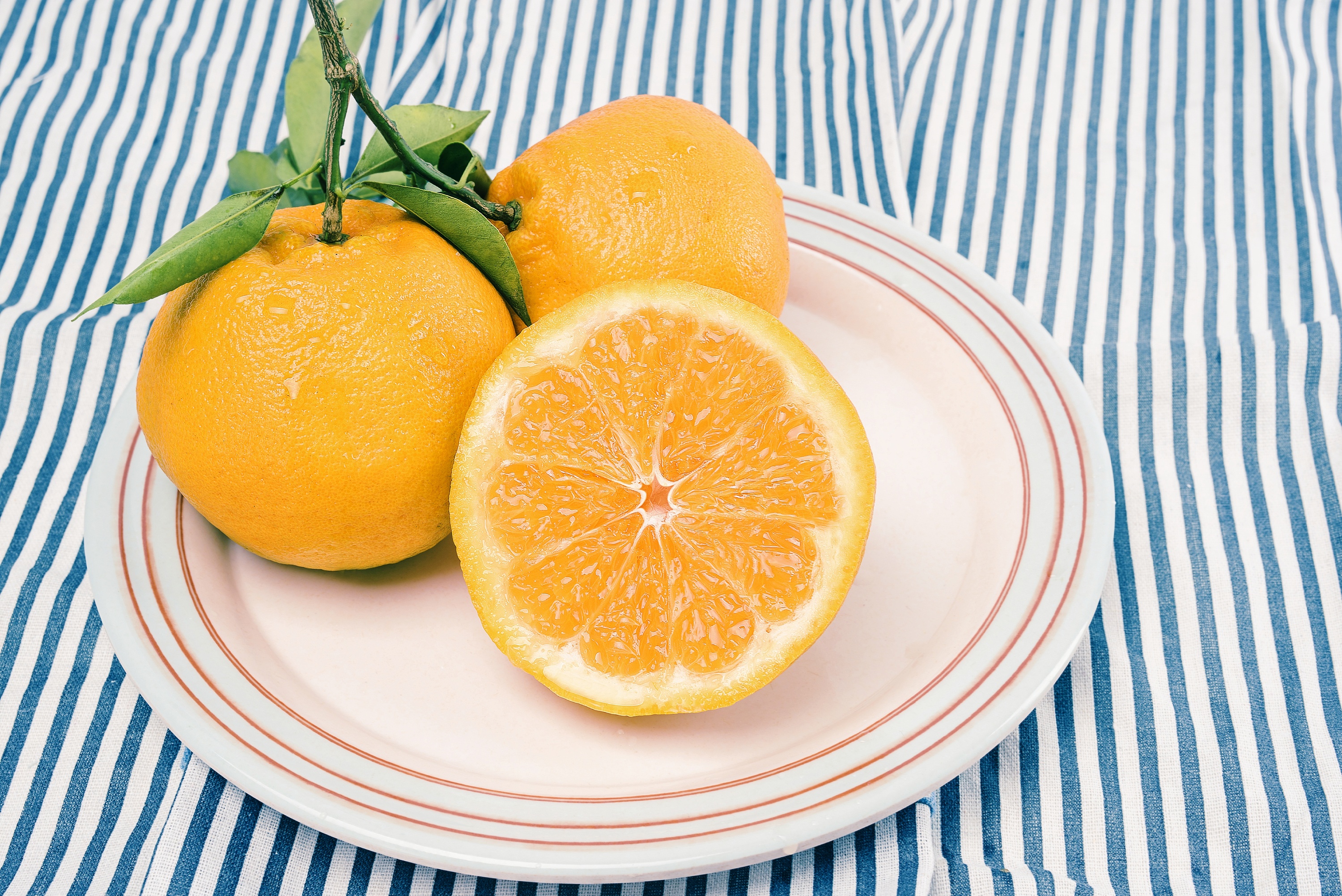 可爱的丑柑|摄影|静物|摄影师鱼儿姑娘 - 原创作品 - 站酷 (zcool)