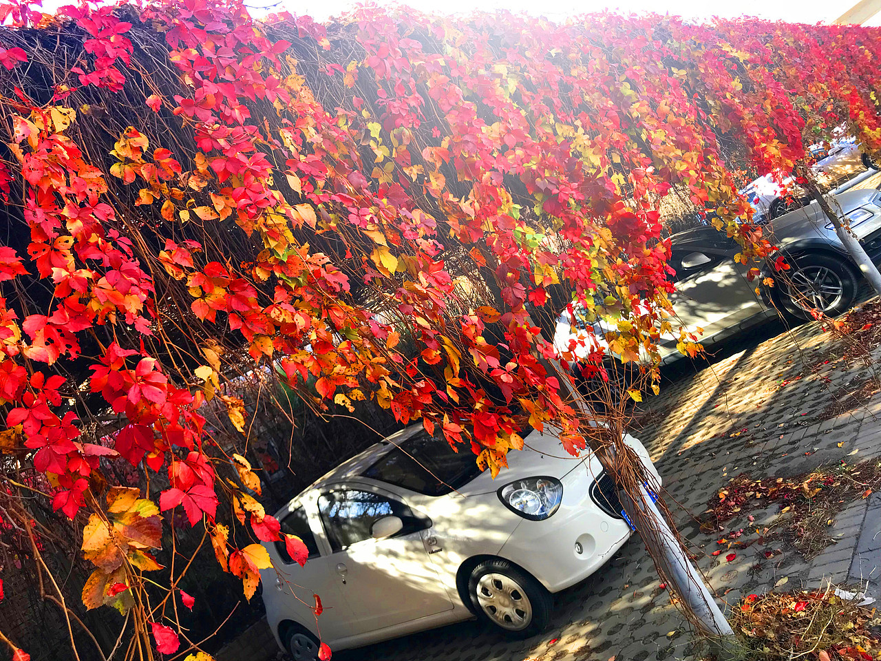 刘勇良手机纪实摄影:北京环保天然停车场