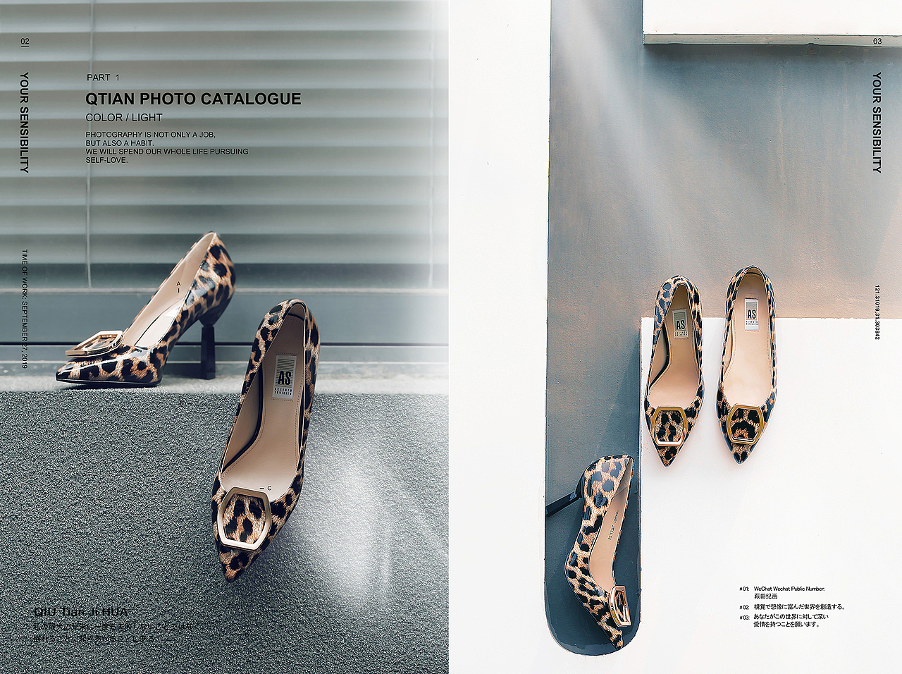 有光有影的日子里