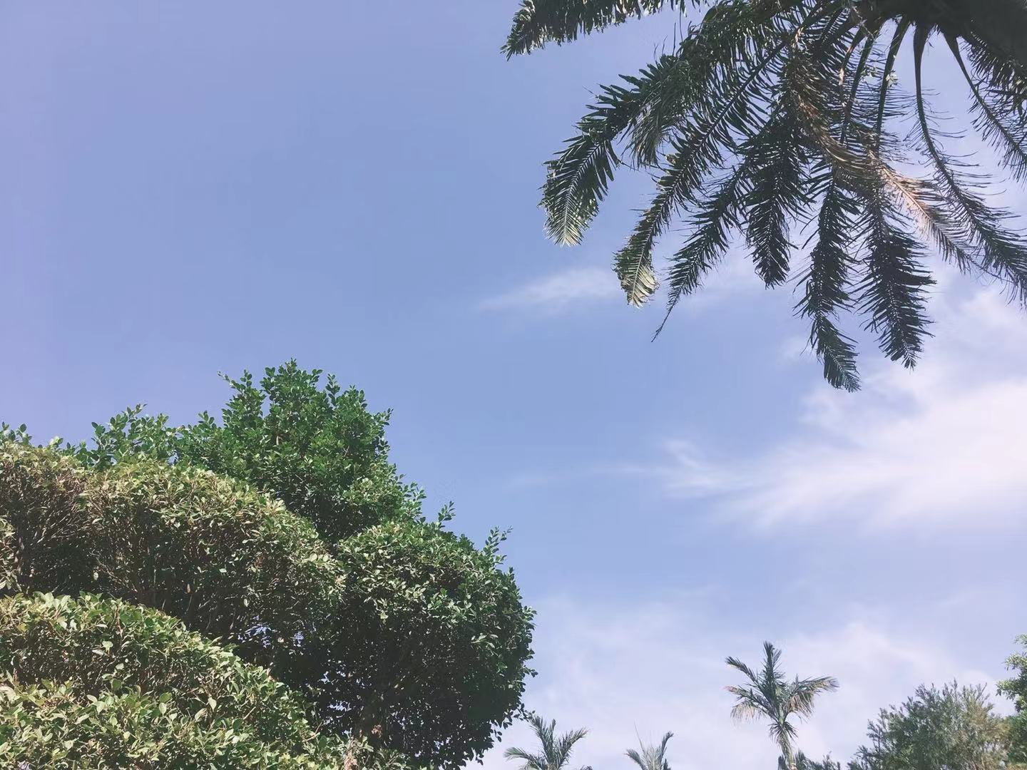 微初的个人主页（封面预览） - 主页封面设置 - 站酷设计师微初原创素材 - 站酷ZCOOL