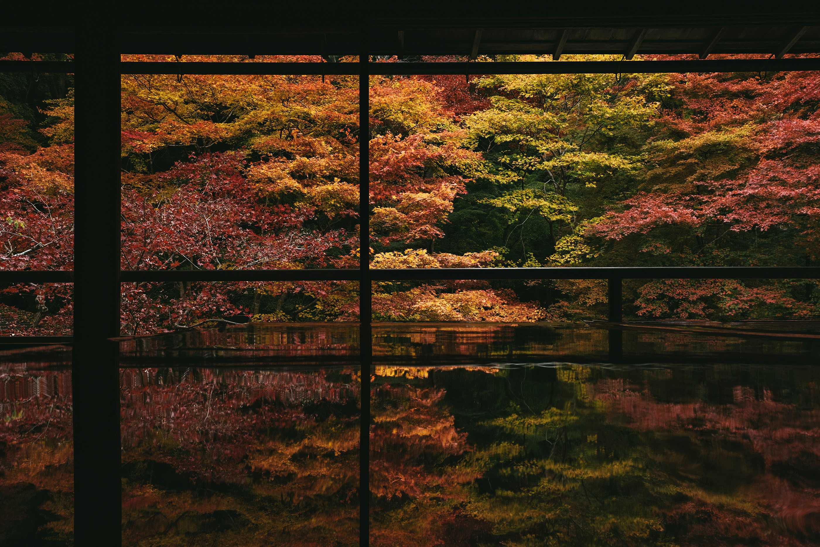 圣誕歌曲如果的個人主頁（封面預(yù)覽） - 主頁封面設(shè)置 - 站酷設(shè)計師圣誕歌曲如果原創(chuàng)素材 - 站酷ZCOOL