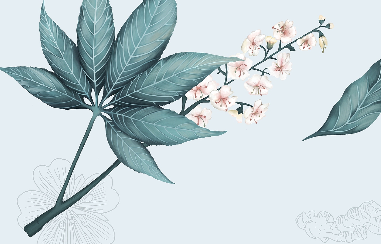 化妆品包装（图ZMTkwMDAwODIw） - 包装 - 站酷设计师huan716原创素材 - 站酷ZCOOL