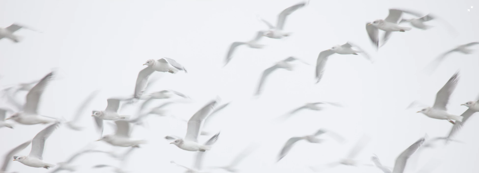 Momadc的個人主頁（封面預(yù)覽） - 主頁封面設(shè)置 - 站酷設(shè)計師Momadc原創(chuàng)素材 - 站酷ZCOOL