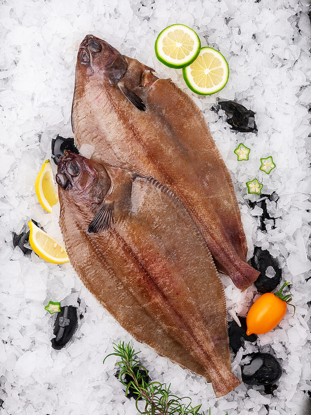 海鲜美食深海鳕鱼切片|摄影|产品摄影|斯巴达三百美工 - 原创作品 - 站酷 (ZCOOL)