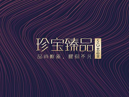 5G黄金产品画册