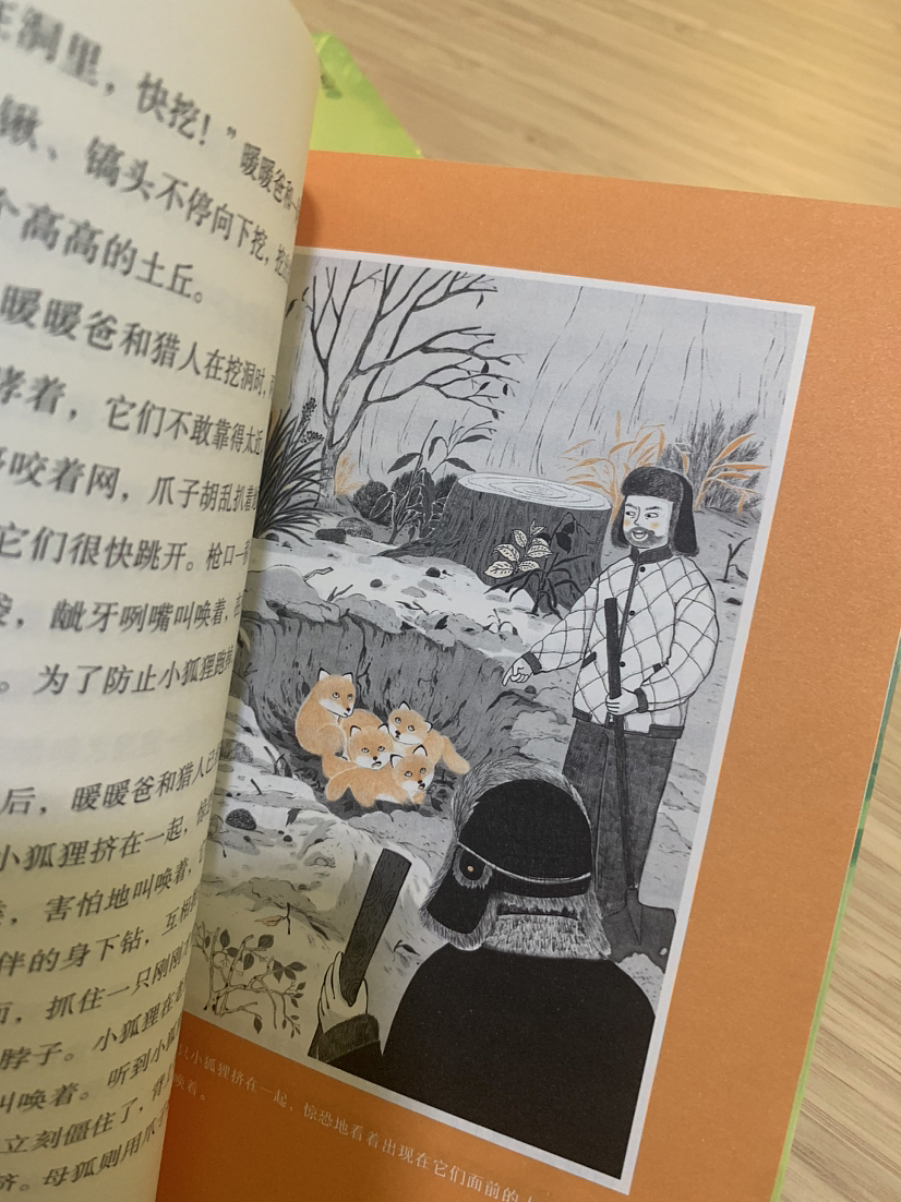 双色插画《男孩的狐狸》2023绘——刚出炉