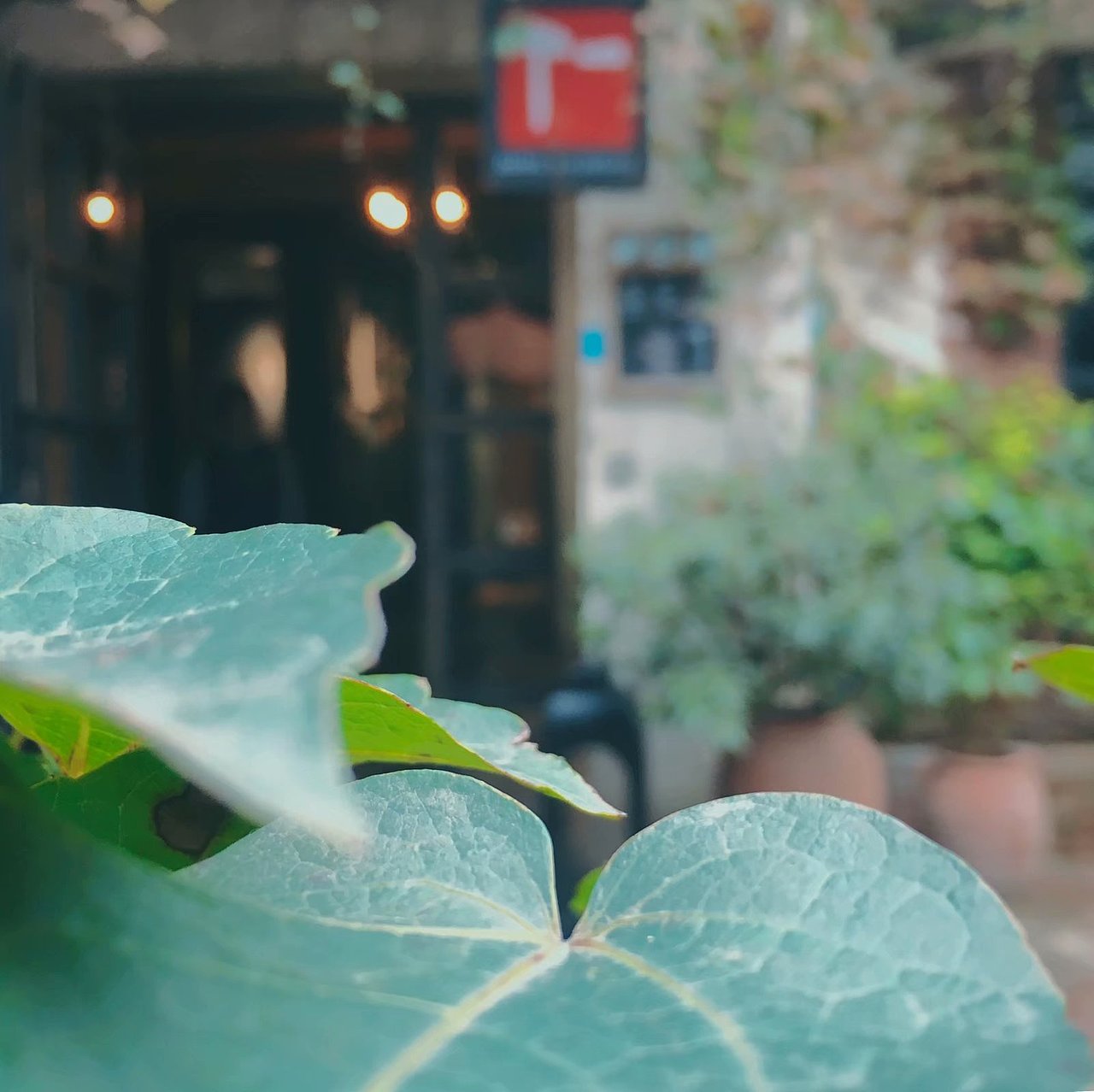 2018年-游玩成都（图ZMTcwNTIyOTY4） - 风光摄影 - 站酷设计师慢慢上路原创素材 - 站酷ZCOOL