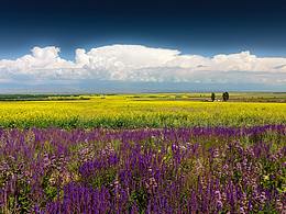 独库公路的7种颜色