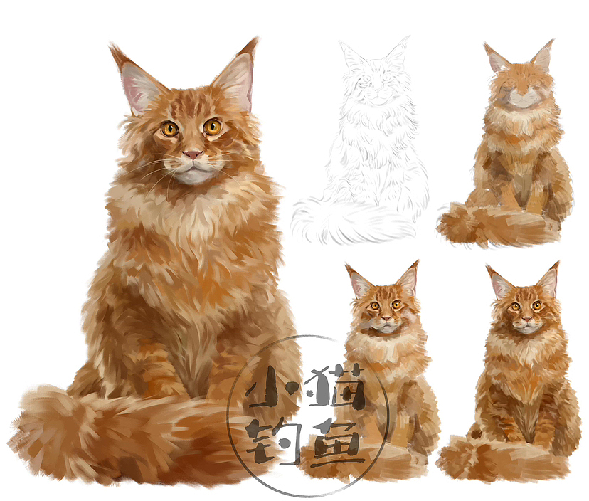 一看就会的超详细绘画步骤