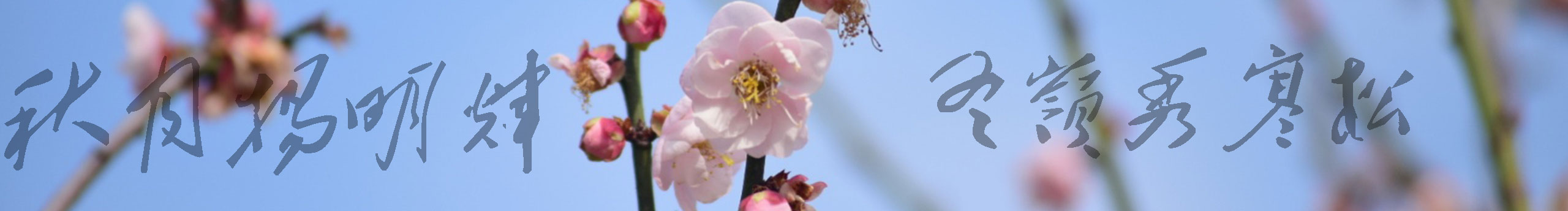 Minhoy的個人主頁（封面預(yù)覽） - 主頁封面設(shè)置 - 站酷設(shè)計師Minhoy原創(chuàng)素材 - 站酷ZCOOL