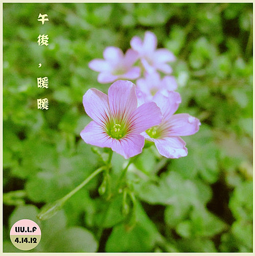 午后暖暖（图ZNTU0MjMyNA==） - 产品摄影 - 站酷设计师584093533原创素材 - 站酷ZCOOL