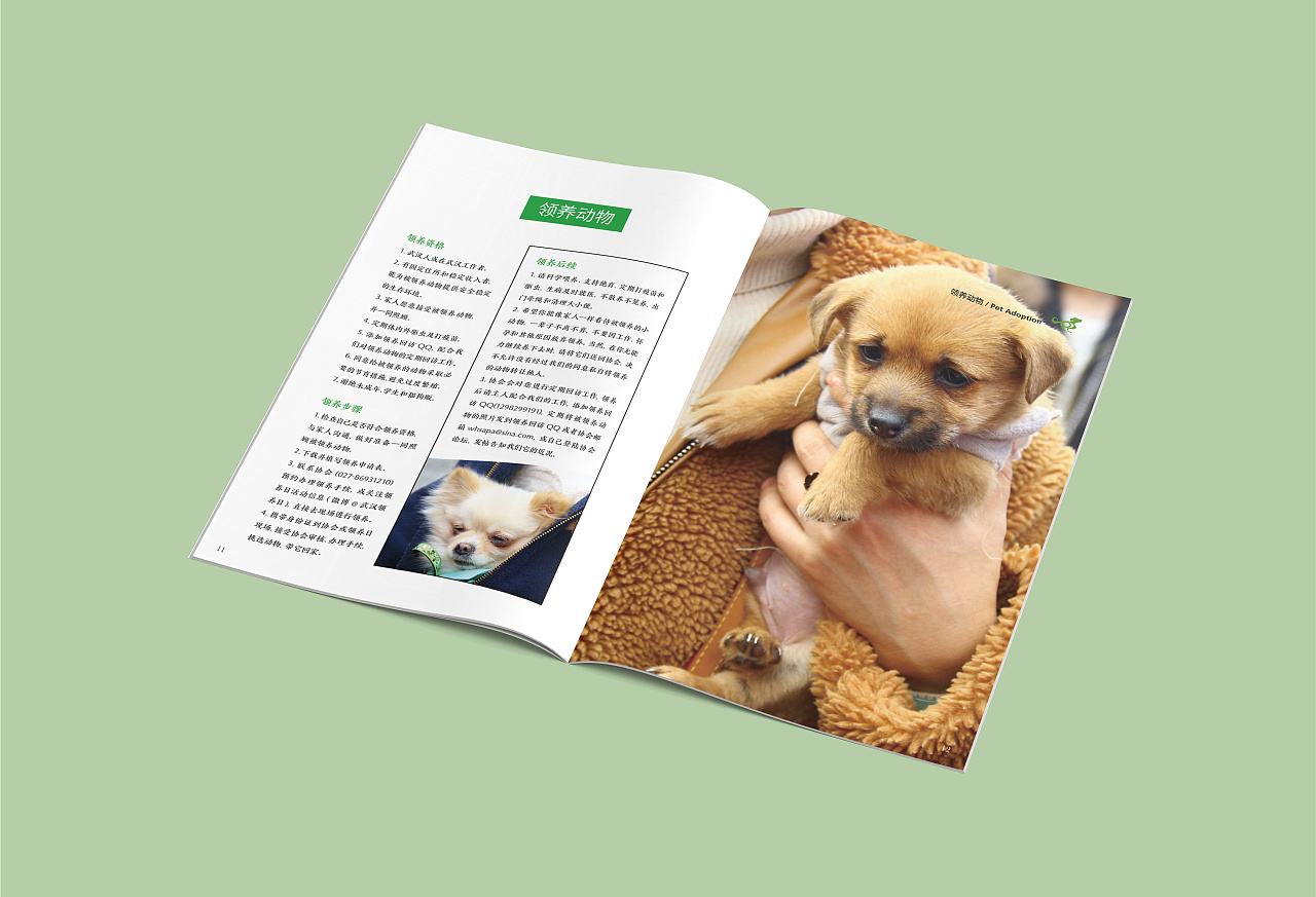 武汉市小动物保护协会 宣传手册