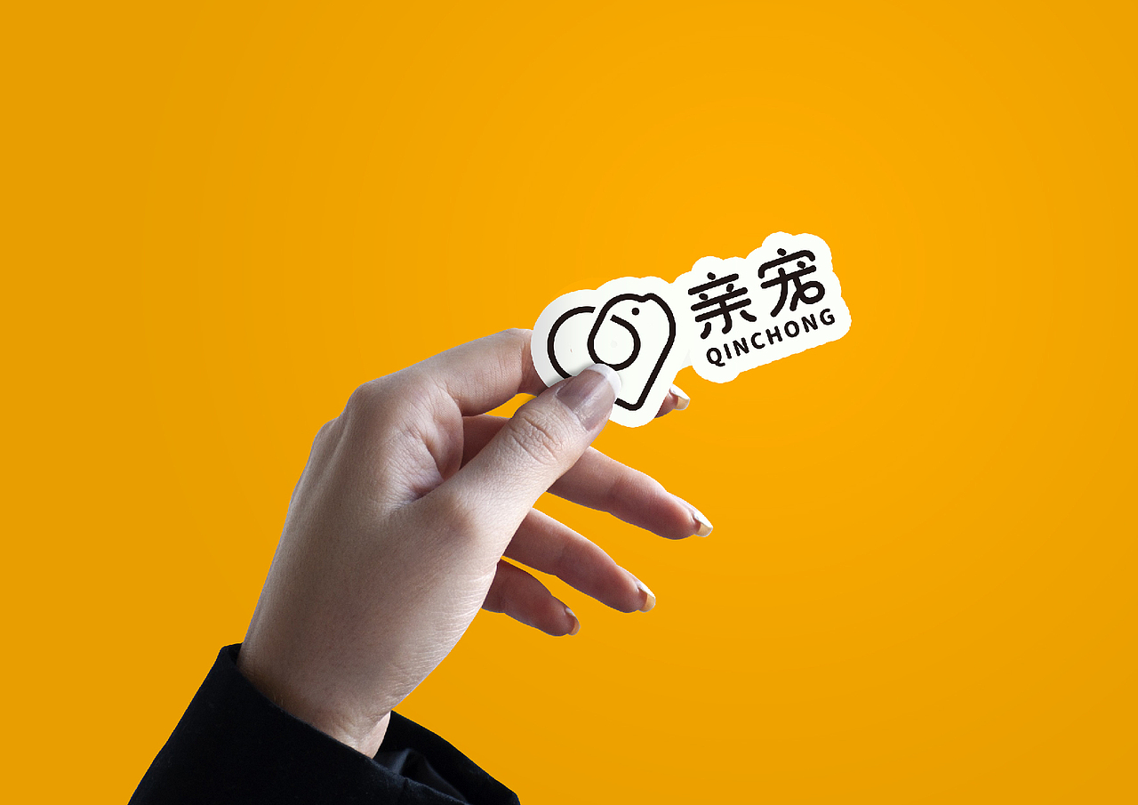 宠物护理品牌logo设计-邵云飞设计(图ZMjg1ODA5MTgw) - Logo - 站酷设计师邵云飞设计原创素材 - 站酷ZCOOL