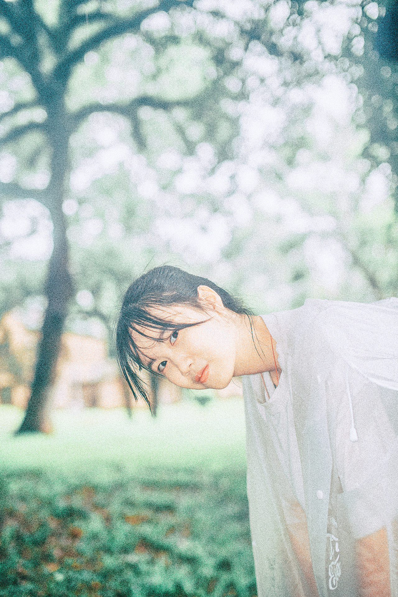 中大雨林（图ZMTc5NTI3MDA4） - 人像摄影 - 站酷设计师小牛梦工厂原创素材 - 站酷ZCOOL