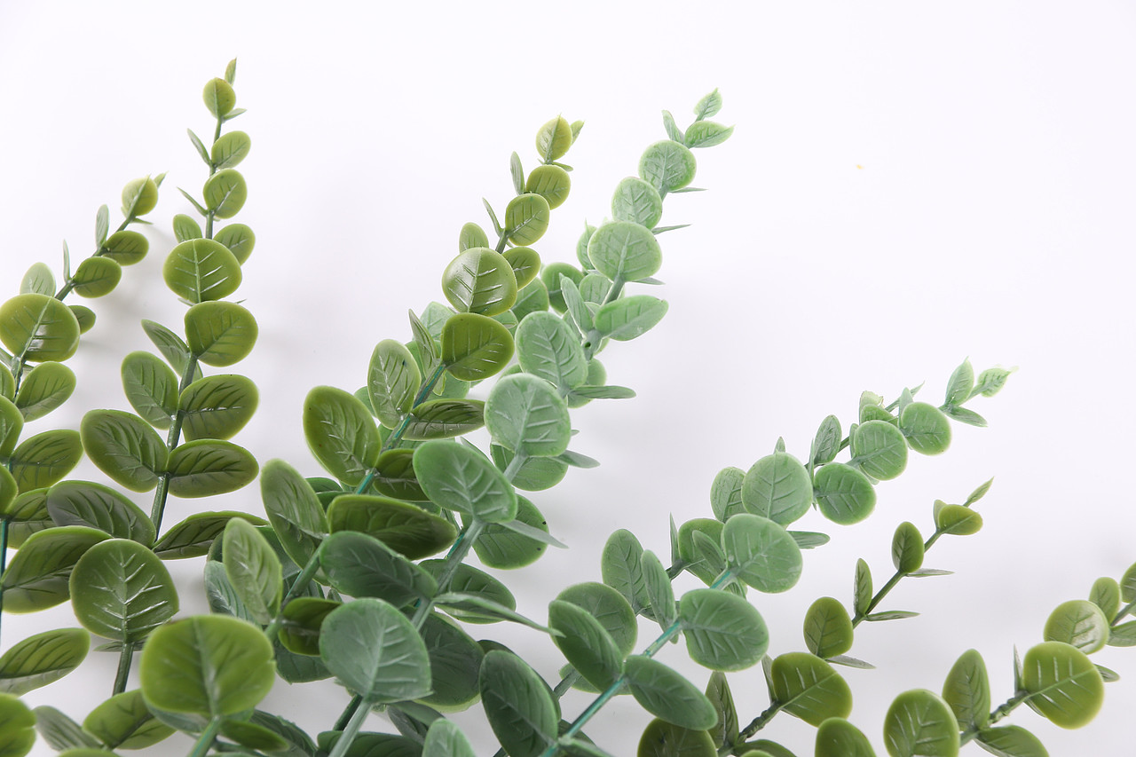 B03家居饰品\C11-仿真饰品\V06仿真尤加利叶X1