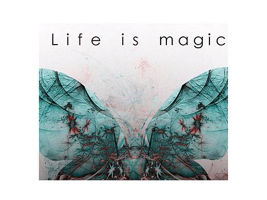 赛博虫语——致在消亡的虫虫们