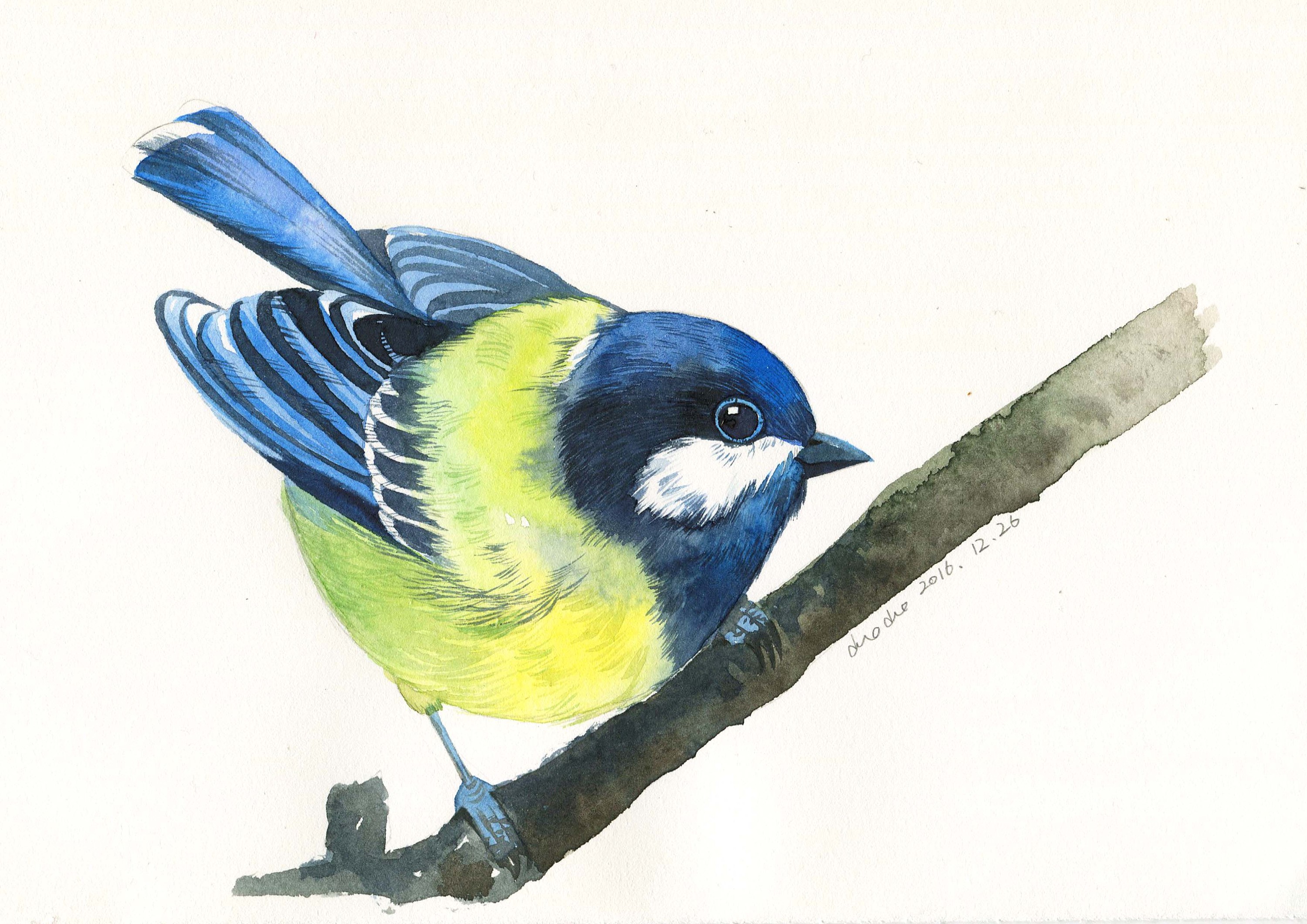 一只可爱的卡通风格的蓝色小鸟高清PNG素材