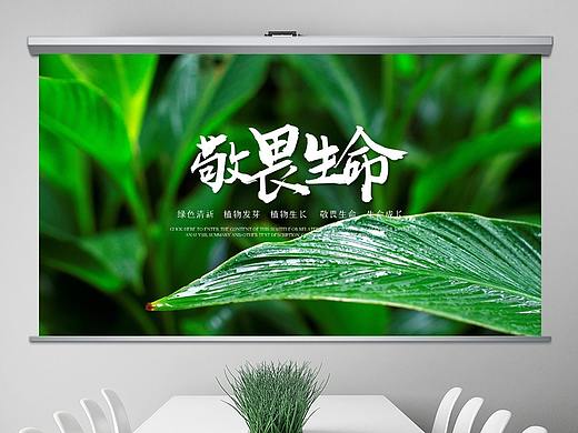 唯美绿色植物发芽植物生长敬畏生命PPT模板