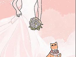 猫咪故事1丨爱了你14年，是时候离开了...