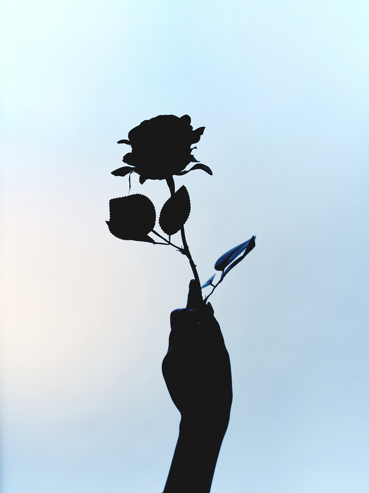 女装形象大片-时装杂志片质感