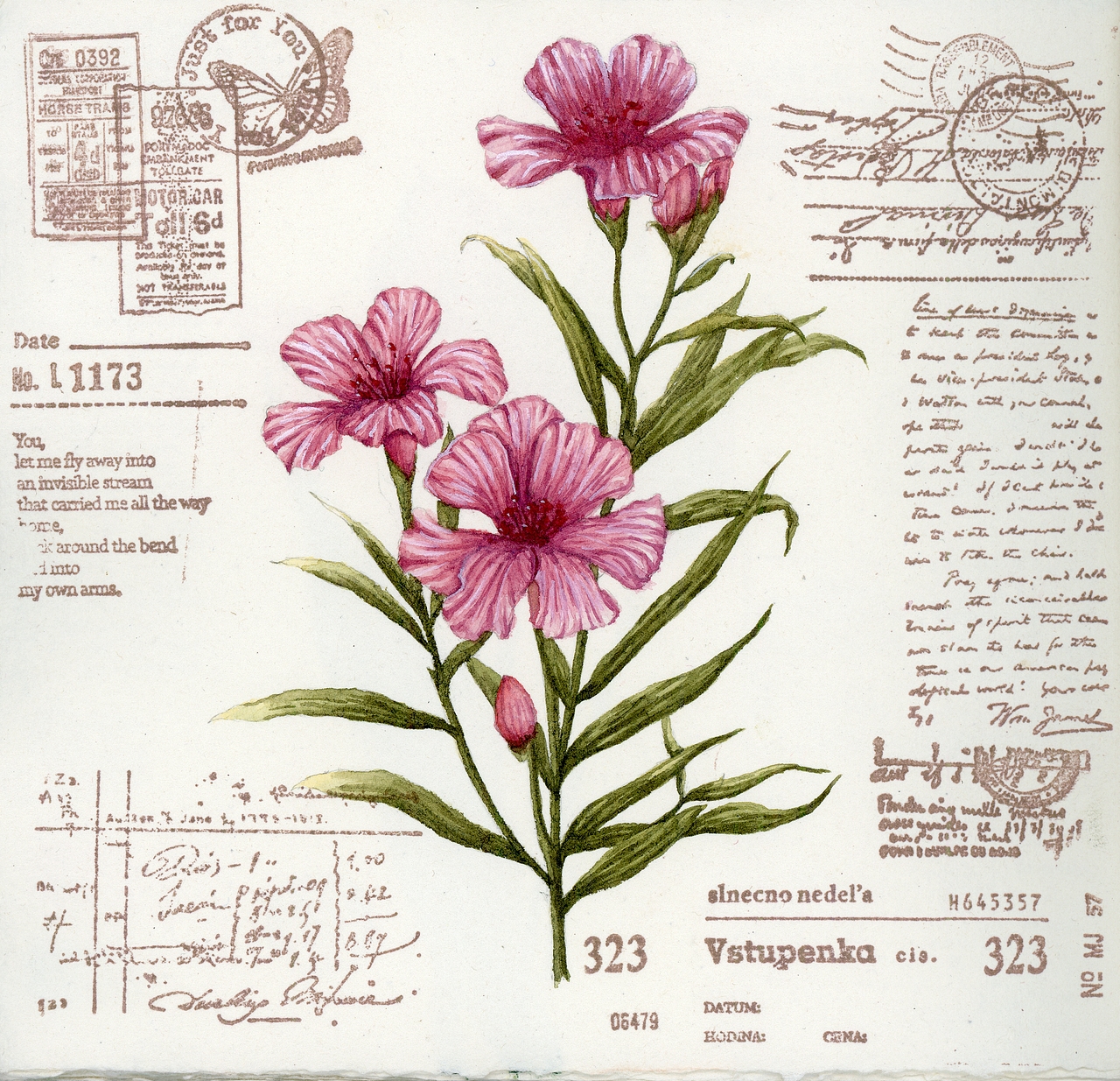 水彩手绘植物——复古邮戳系列（图ZMzc2MDExNDg4） - 商业插画 - 站酷设计师她在南方岛屿原创素材 - 站酷ZCOOL