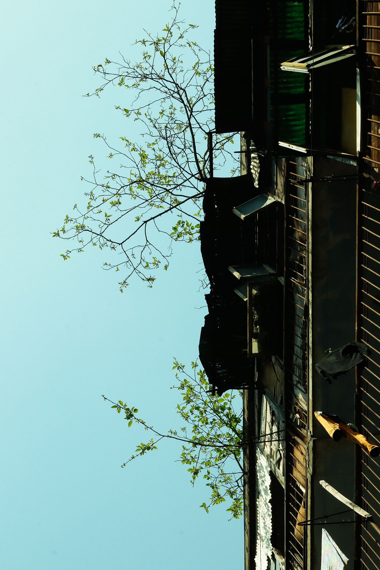 成都2（图ZMjAxMjA3NDAw） - 人文/纪实摄影 - 站酷设计师NiBei0526原创素材 - 站酷ZCOOL