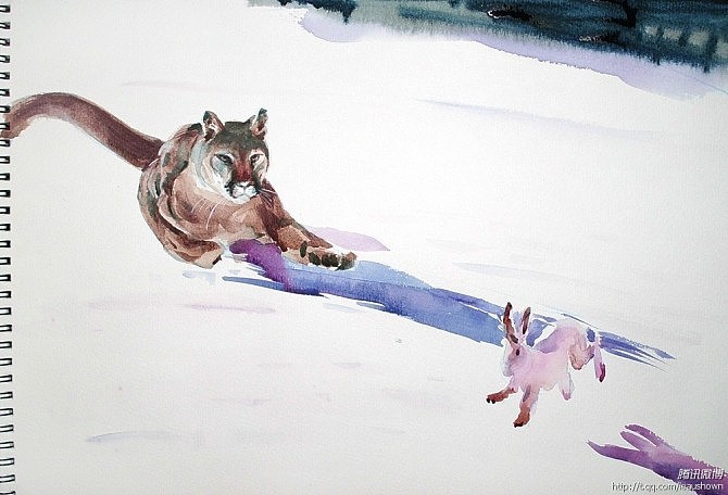 猫科动物练习（图ZNTQ5MzM1ODQ=） - 创作习作 - 站酷设计师leaushown原创素材 - 站酷ZCOOL