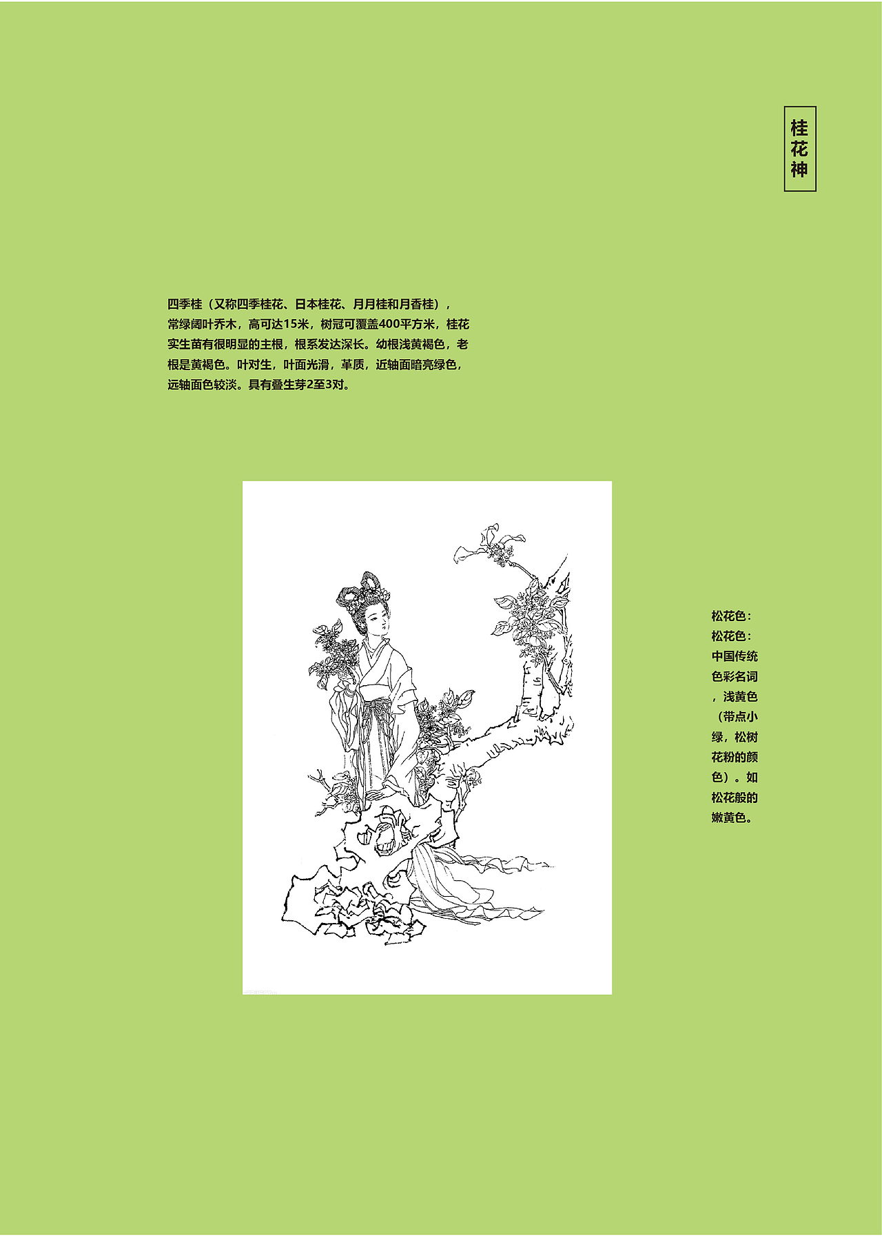 结课作业旋风装电子稿