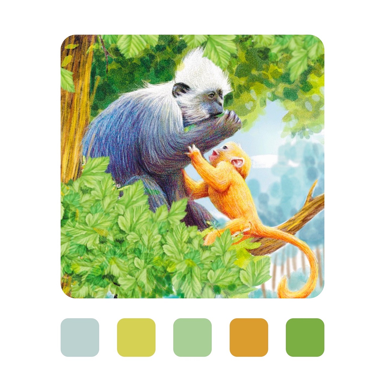 动物科普封面图(已商用)