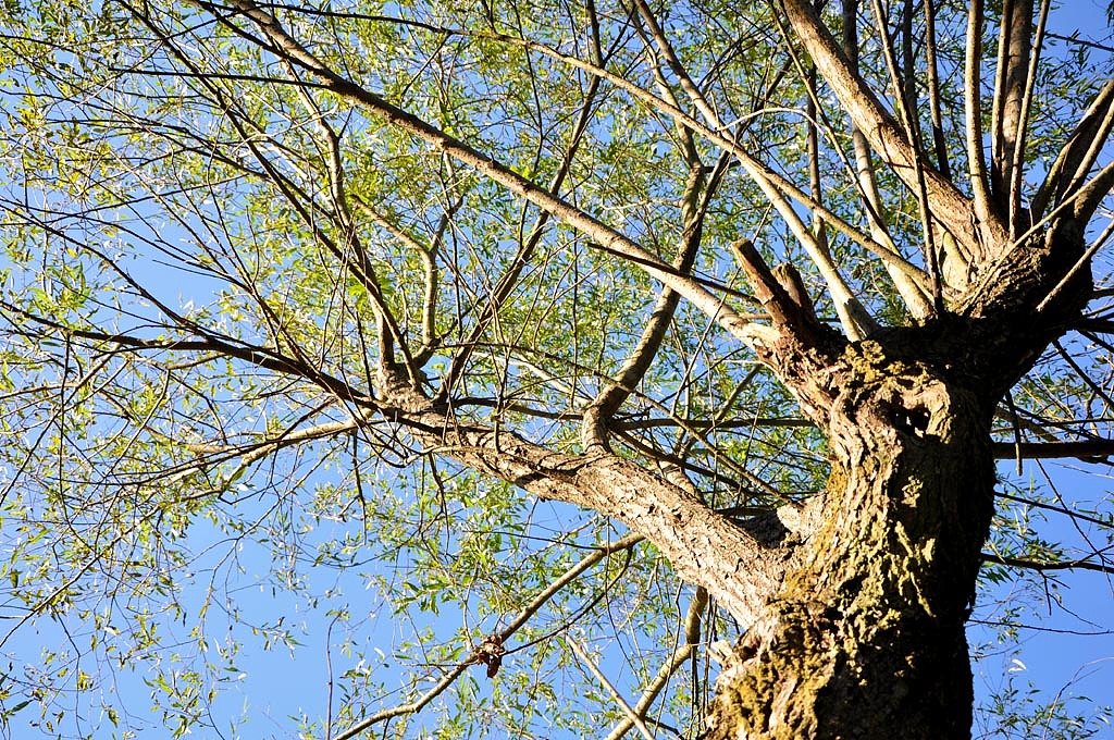 故乡小镇的蓝天（图ZMjE1MjAxNTI=） - 风光摄影 - 站酷设计师爱摄影的少年斌帅原创素材 - 站酷ZCOOL