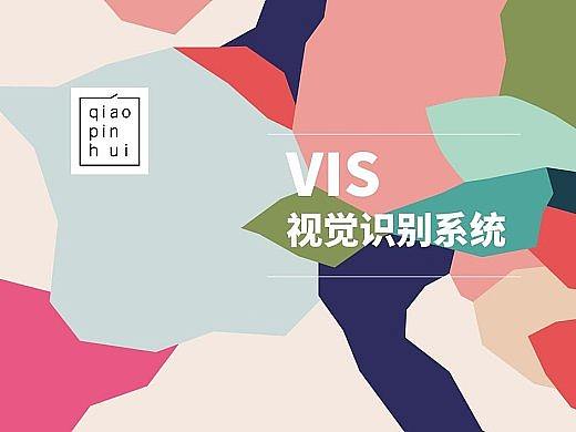 VIS视觉识别系统