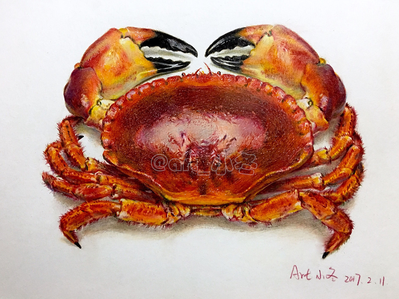 《有钳任性》（图ZNzAzMDUwOTI=） - 绘画 - 站酷设计师art_小冬原创素材 - 站酷ZCOOL