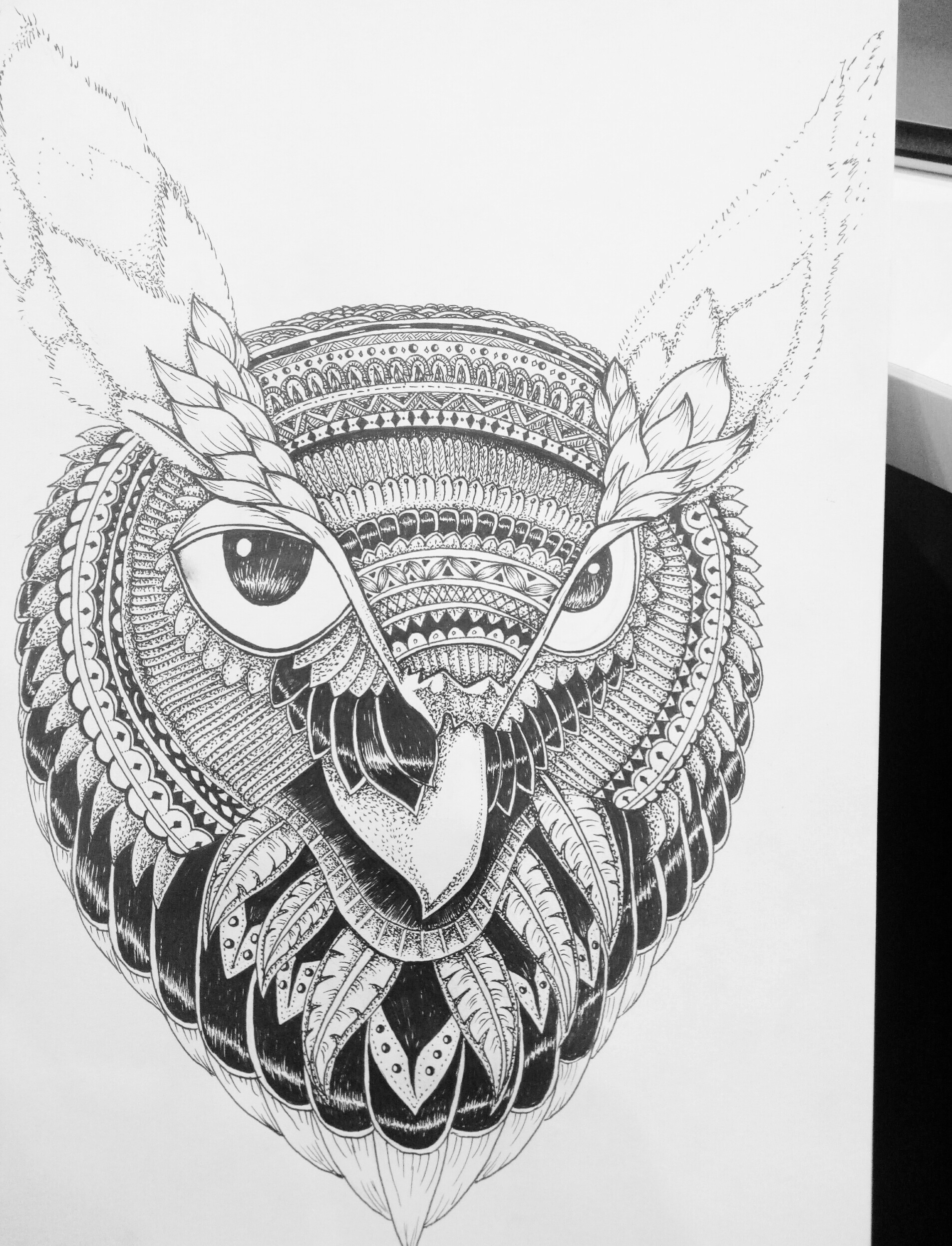 11月中下旬-12月初的黑白手绘|插画|插画习作|fhero - 原创作品